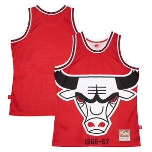 Chicago Bulls Hardwood Authentique Classics Blown Out Fashion Jersey Red