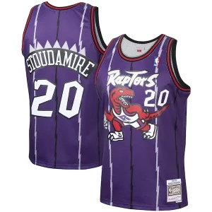 Damon Stoudamire Toronto Raptors 1995/96 Commémoratif Hardwood Classics Swingman Jersey Purple